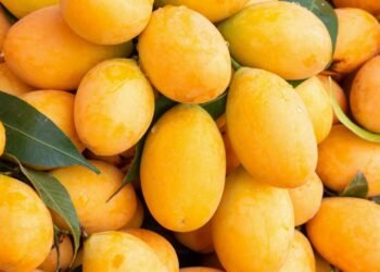 বাজার থেকে মিষ্টি ও রসালো আম চেনার সহজ উপায়