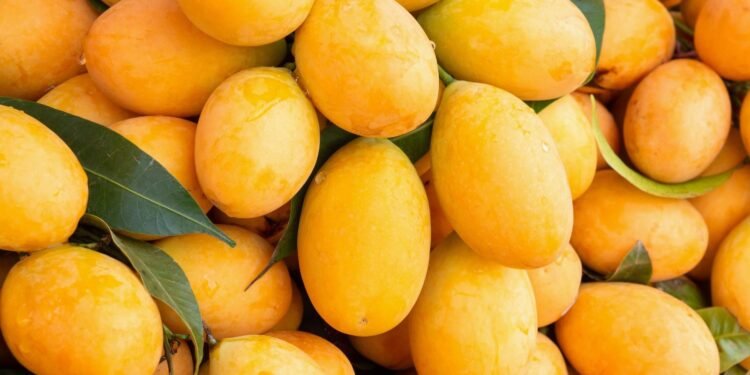 বাজার থেকে মিষ্টি ও রসালো আম চেনার সহজ উপায়